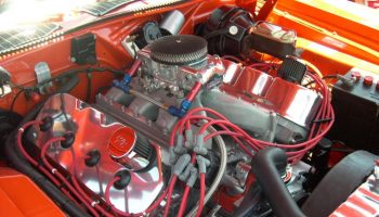 HEMI1